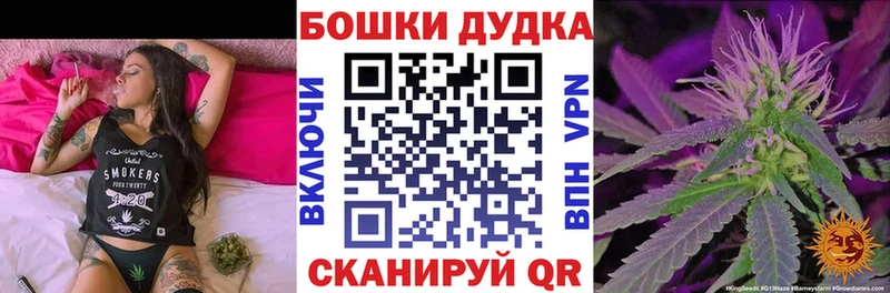 Конопля гибрид  Купить закладки  Бийск 